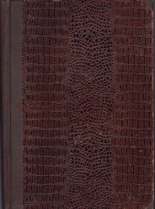 Cemento armato - Adriano Bagnasco - copertina