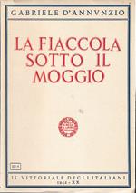 La fiaccola sotto il moggio