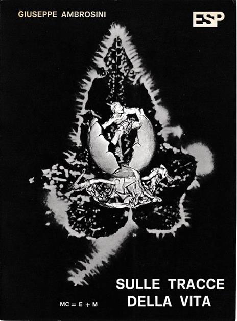 Sulle tracce della vita - Gaspare Ambrosini - copertina