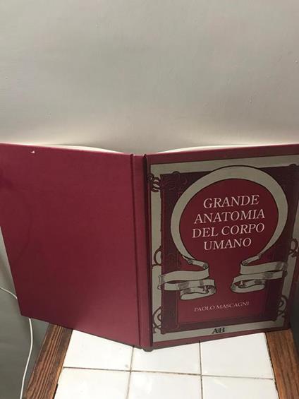 Grande anatomia del corpo umano - Paolo Mascagni - copertina
