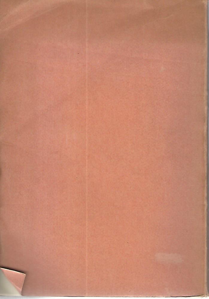 Librisaggi