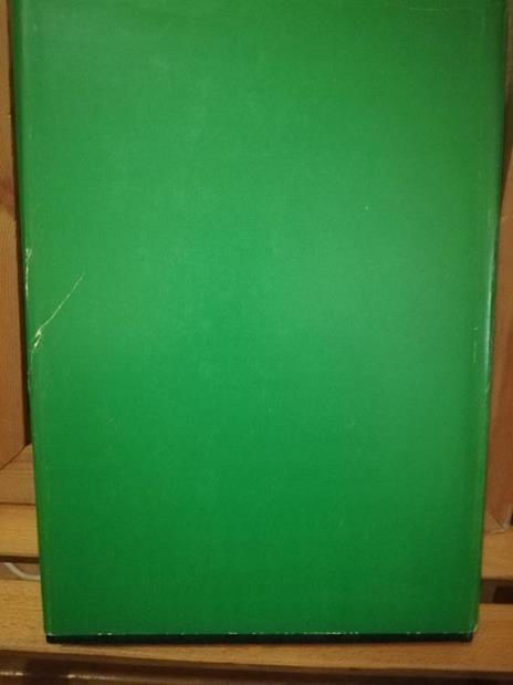 Trattato di ortopedia. IV. Arto inferiore - 2