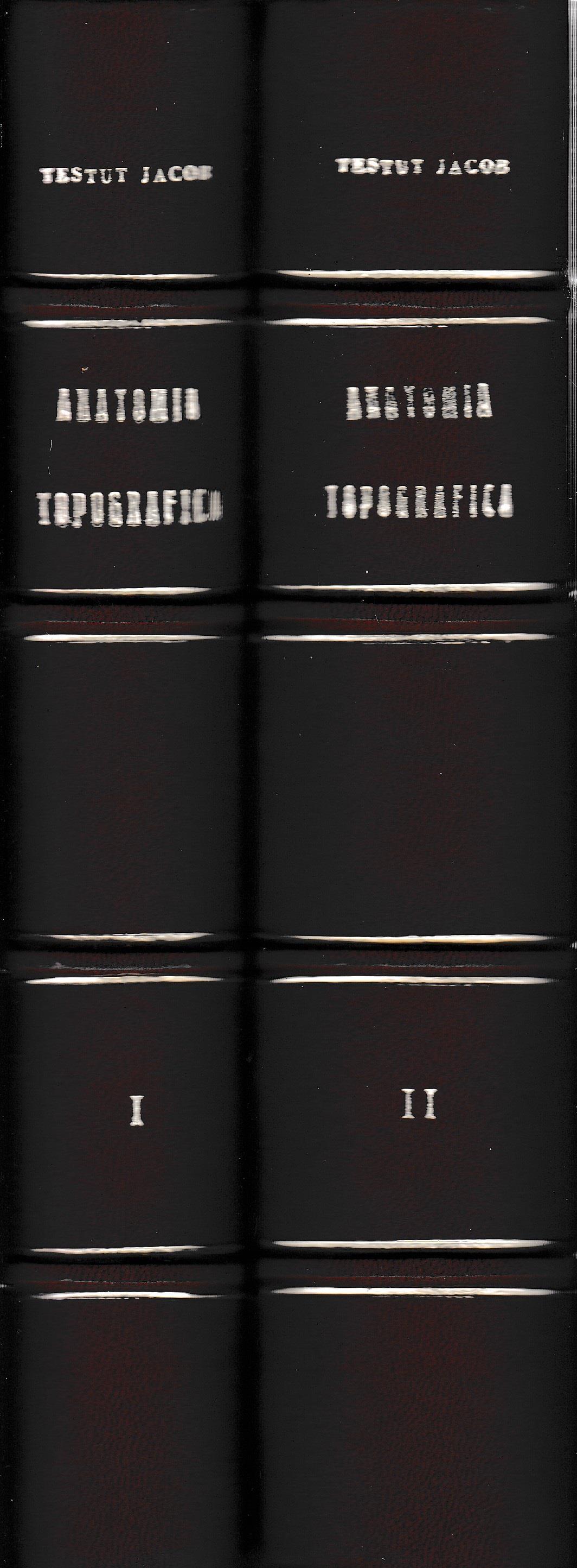 Librisaggi