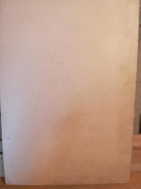 Un mestiere di città alle soglie dell'età industriale. Il facchinaggio genovese fra il 1815 e il 1850 - Edoardo Grendi - 2