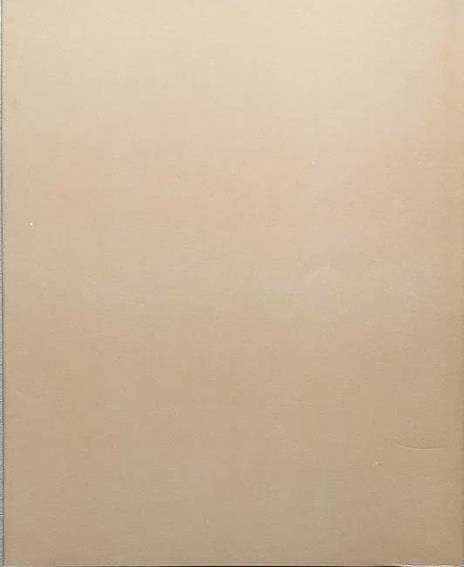 I grandi disegni italiani nelle collezioni di Madrid - 2