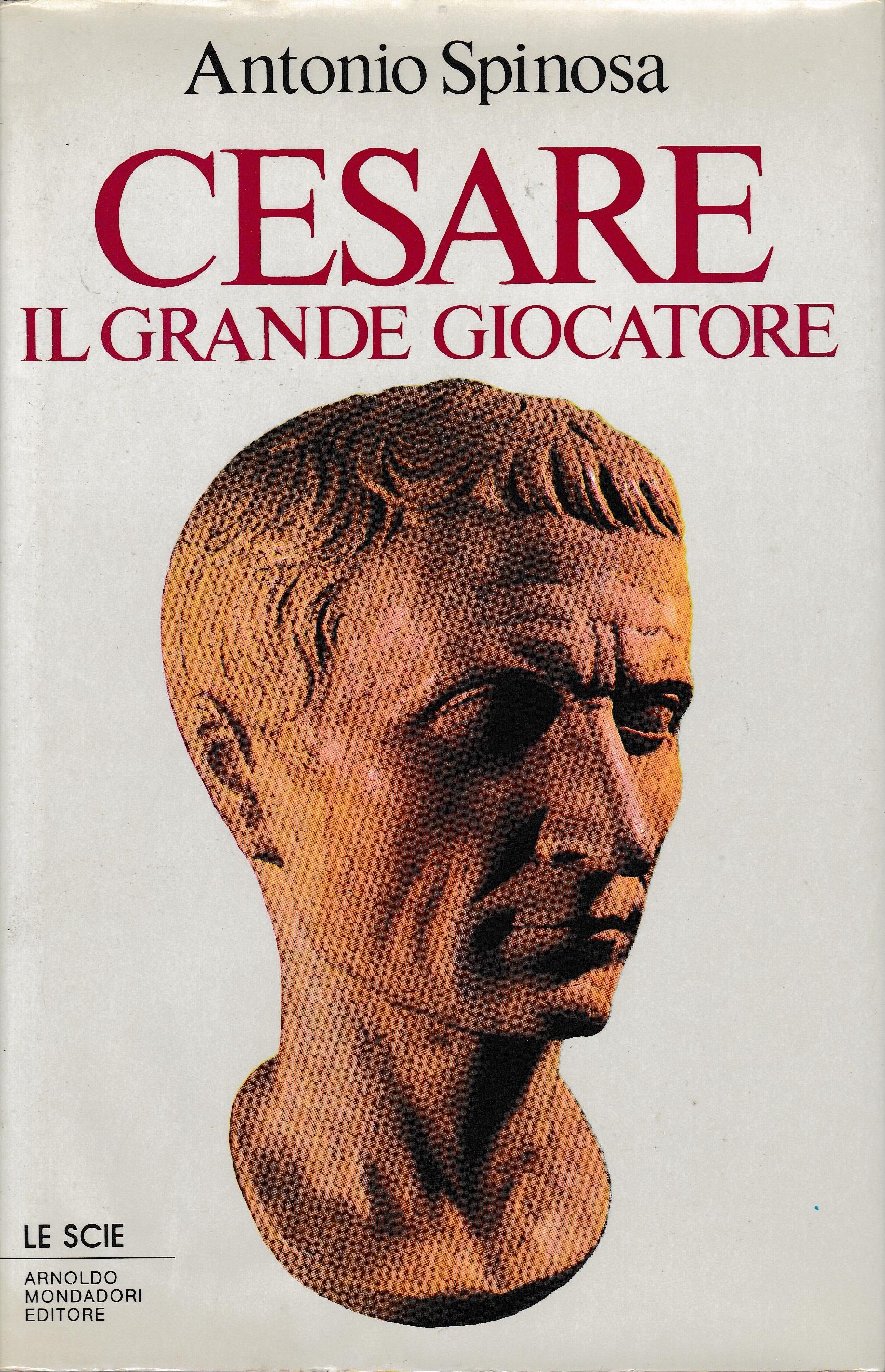 Librisaggi