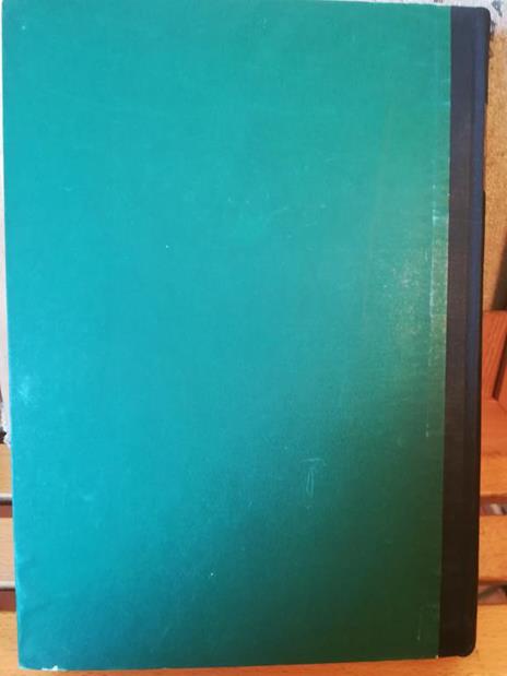 Il capitale. Critica dell'economia politica. Libro primo - Karl Marx - 2