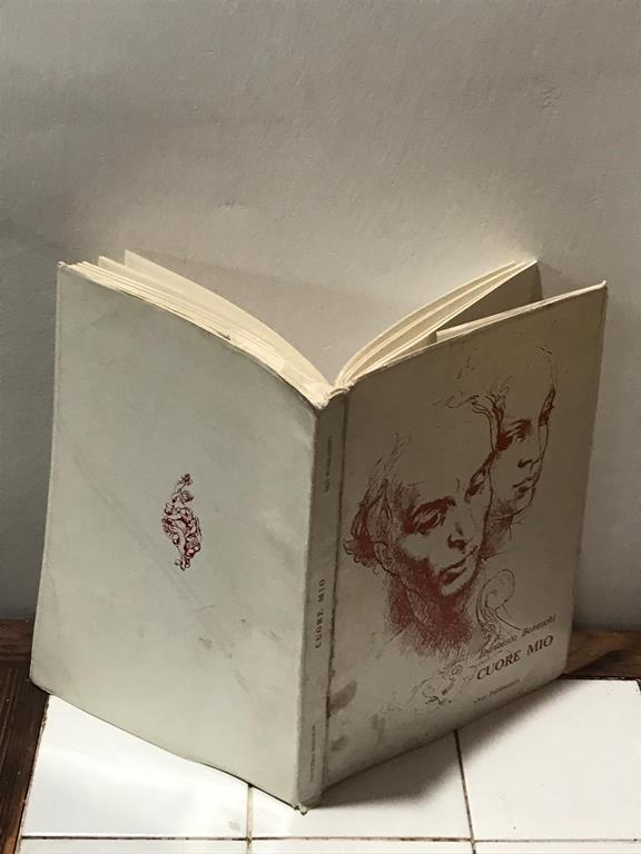 Libreria del Professore