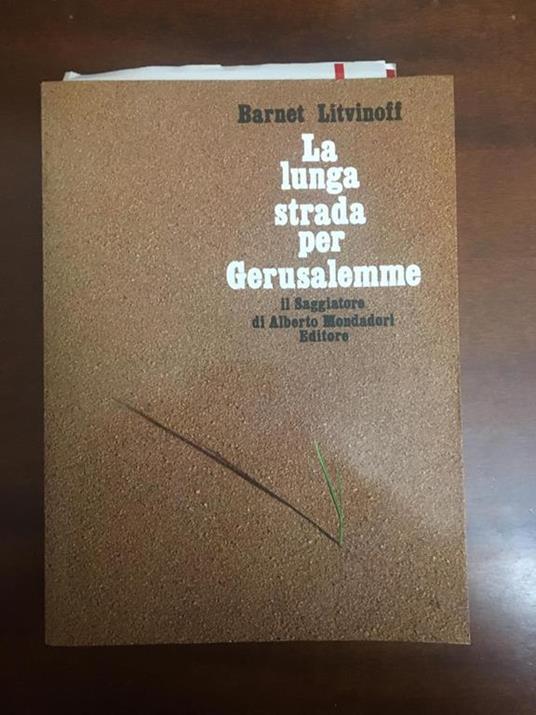 La lunga strada per Gerusalemme - Barnet Litvinoff - copertina