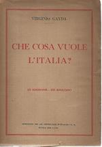 Che cosa vuole l'Italia?