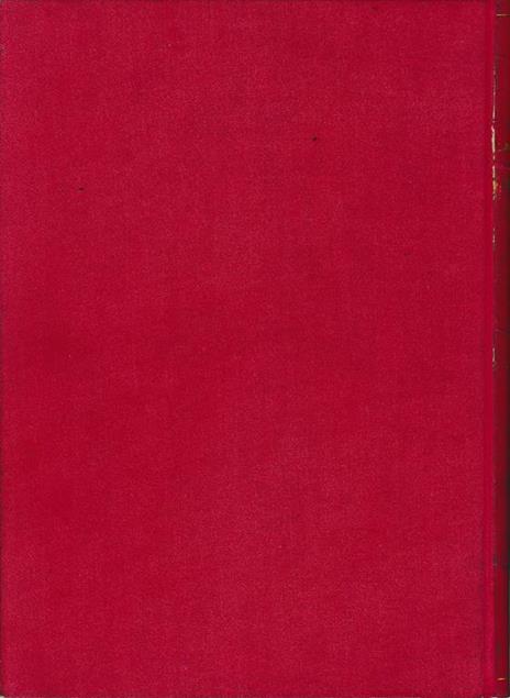 La guerra delle Nazioni nel 1914-1918. Storia illustrata vol. 5° - 2