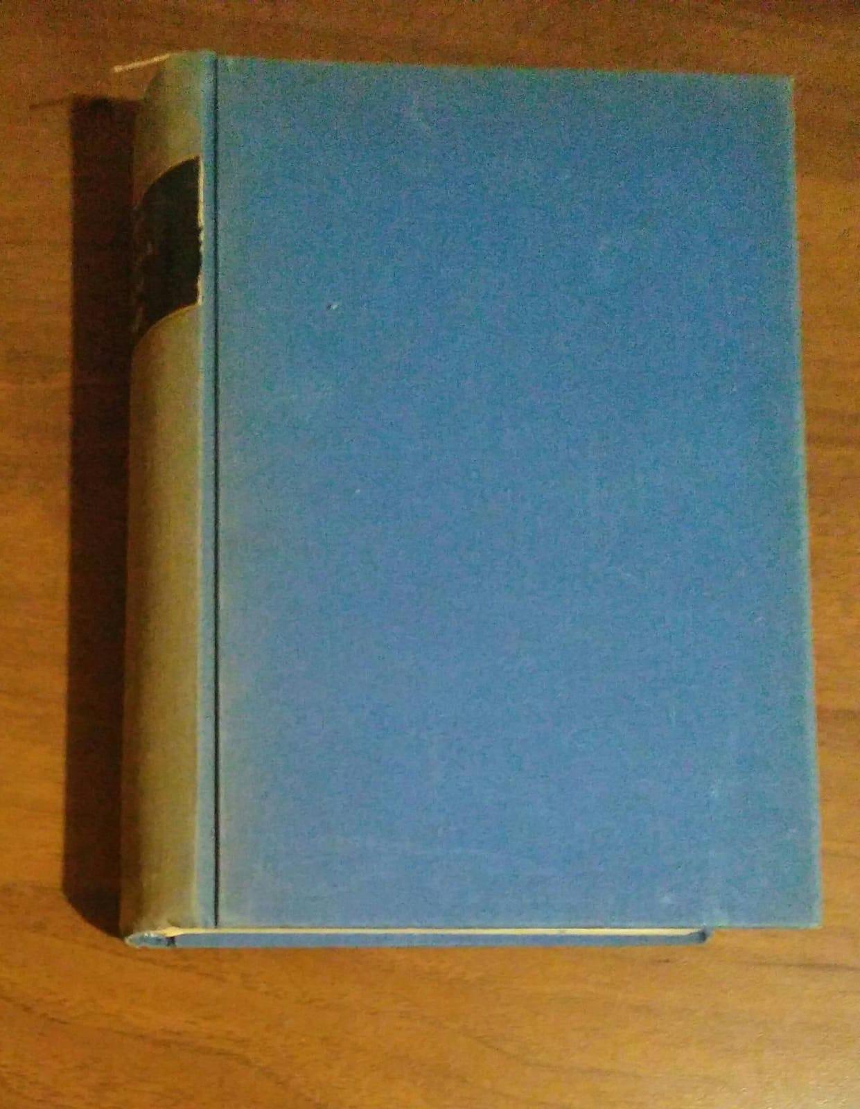 Anatomia Umana