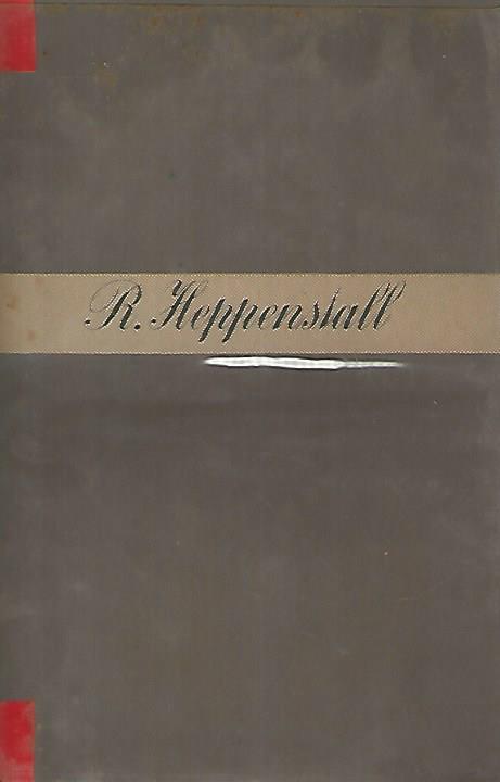 Piccolo inferno - Rayner Heppenstall - copertina