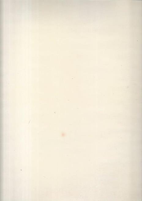 Il Campidoglio di Michelangelo - 2