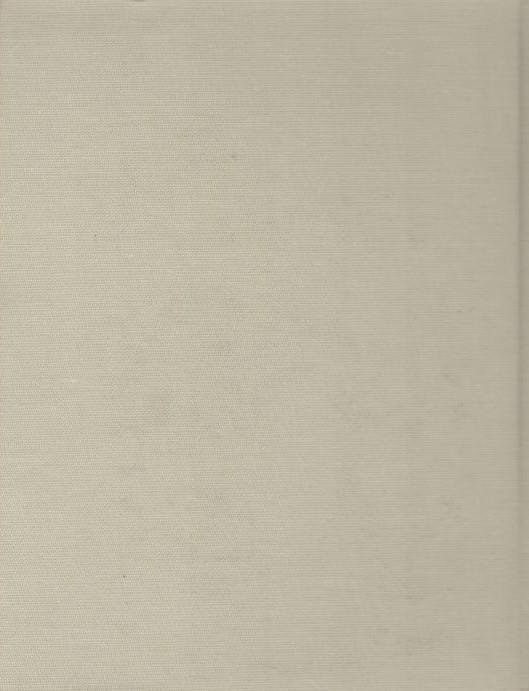 Al di là delle nostre forze - Quando fiorisce il vino nuovo. Collana: I Grandi Scrittori Stranieri I-5 - Bjørnstjerne Bjørnson - 2
