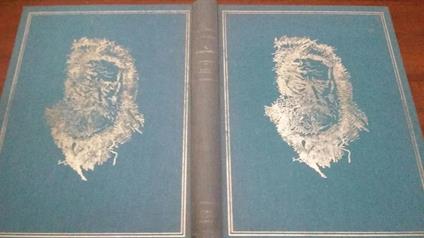 I Miserabili - Victor Hugo - copertina