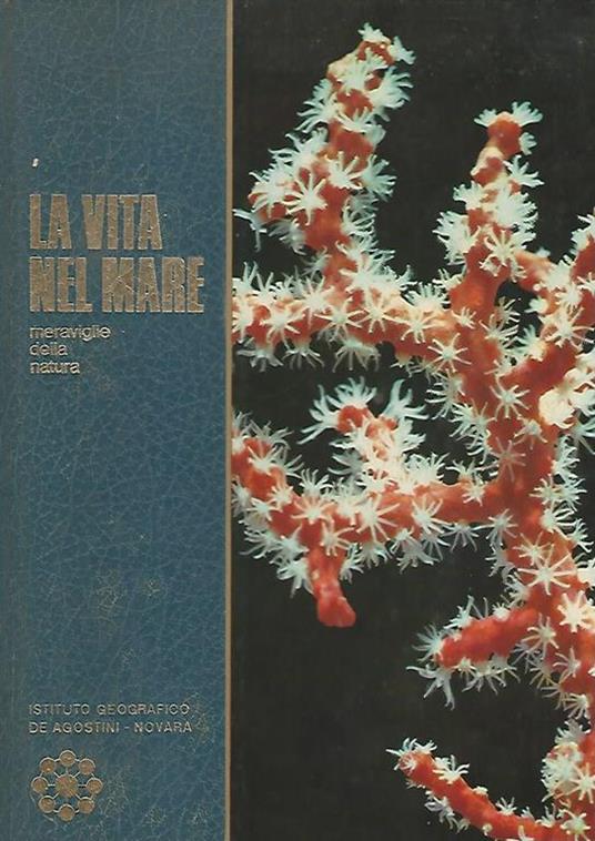 La vita nel mare - Menico Torchio - copertina