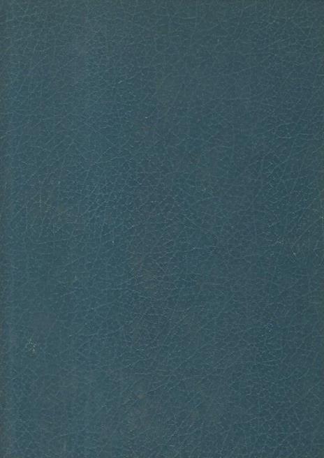 La vita nel mare - Menico Torchio - 2