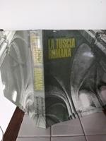 La Tuscia Romana. Un territorio come esperienza d'arte: evoluzione urbanistico -architettonica
