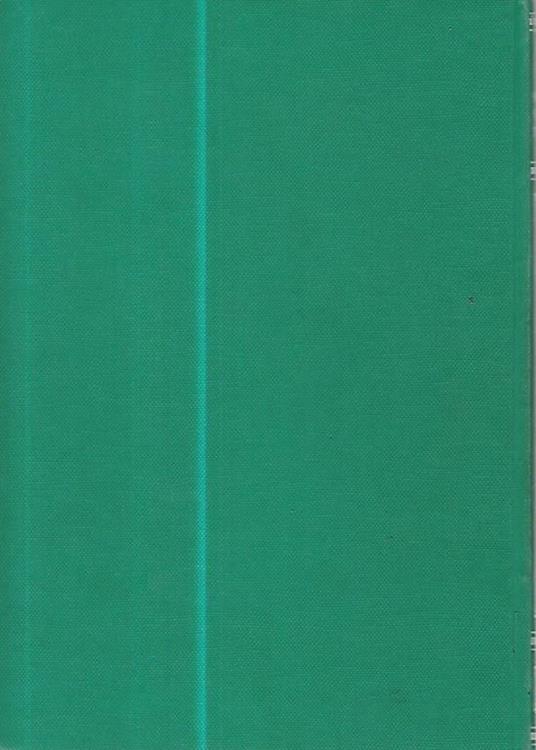 Manuale di ortopedia e traumatologia - C. Giuntini - 2