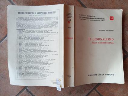 Il giornalismo nella giurisprudenza - Cesare Protetti - copertina