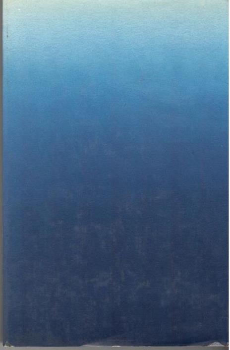 Gli occhiali di Cavour - Sandro Attanasio - 2