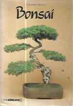 Bonsai