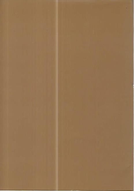 La febbre nei secoli tra curiosità e storia - Erminio Corneo - 2