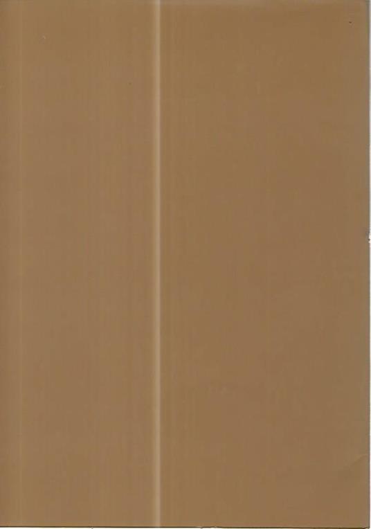 La febbre nei secoli tra curiosità e storia - Erminio Corneo - 2