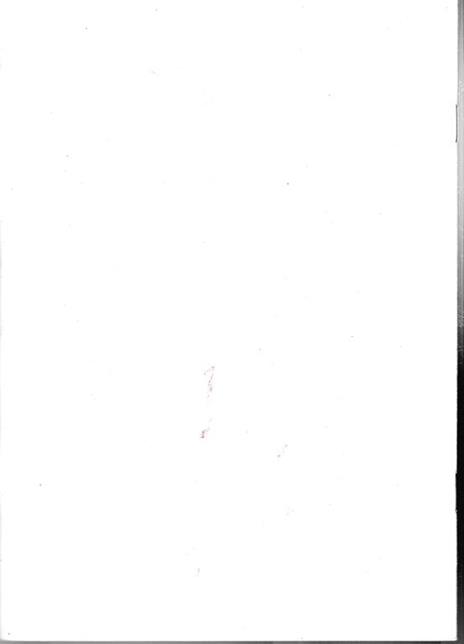 Il problema di Gerusalemme - 2