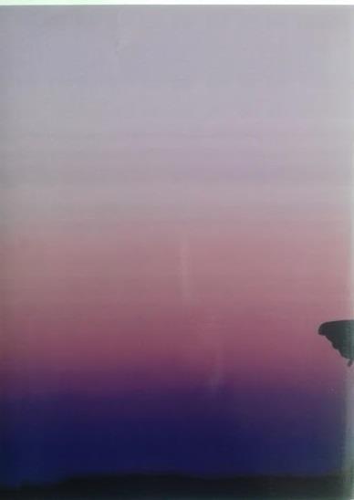 Le fontane di Viterbo - The fountains of Viterbo - Benito Corradini - 2