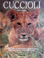 Cuccioli Come Sono, Dove Vivono, Come Vivono I Piccoli Degli Animali Selvatici