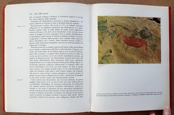 Stampe Antiche e Libri d'Arte Bottigella