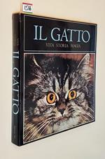Il Gatto Vita Storia Magia