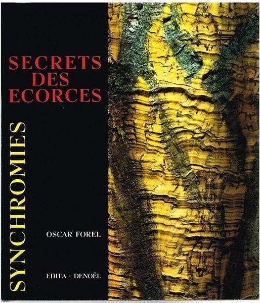 Stampe Antiche e Libri d'Arte Bottigella