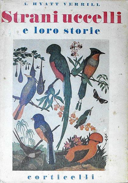 Stampe Antiche e Libri d'Arte Bottigella