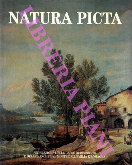 Natura picta. Paesaggio e immagini dell’Emilia Romagna nelle arti figurative, nella fotografia, nel cinema - Giuseppe Adani - copertina