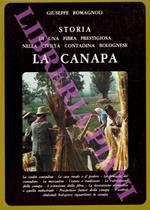 Storia di una fibra prestigiosa nella civiltà contadina bolognese. La canapa