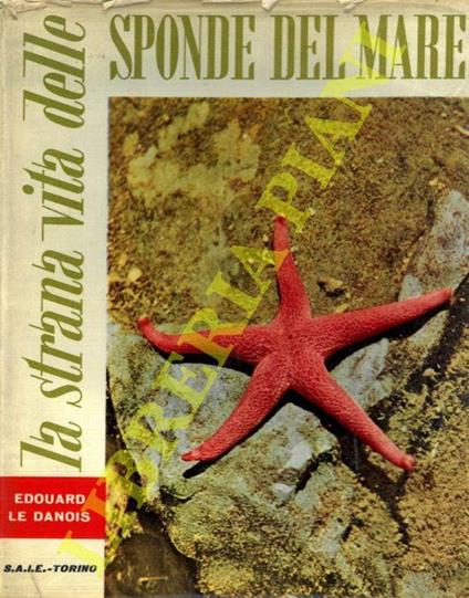 La strana vita delle rive del mare - copertina