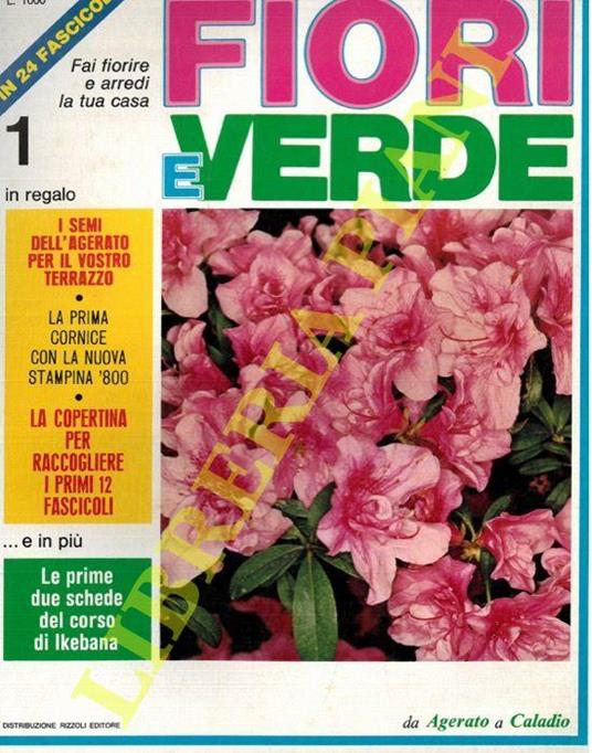 Fiori e verde. - Conoscere gli alberi. - Piante in casa - copertina