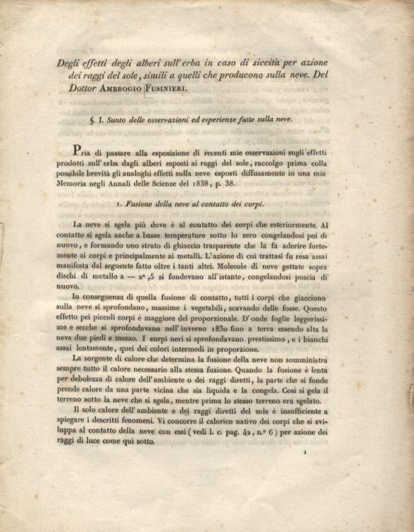 Libreria antiquaria Gozzini