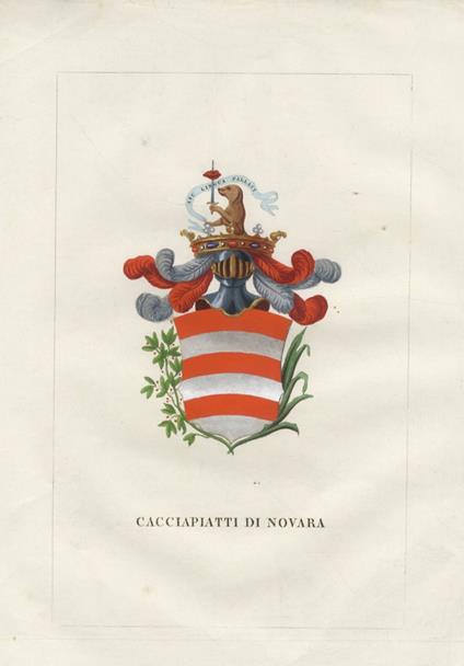 CACCIAPIATTI di Novara - copertina