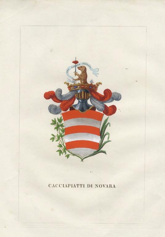 CACCIAPIATTI di Novara - copertina