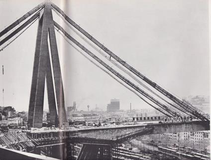 Fulgorcavi - Giuseppe Massani - copertina