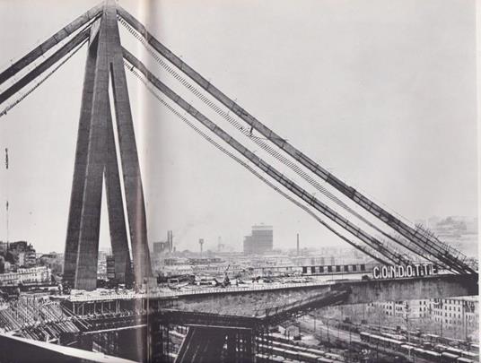 Fulgorcavi - Giuseppe Massani - copertina