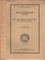 The brachiopod superfamily stenoscismatacea