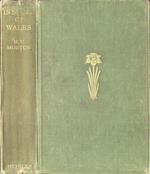 In search of Wales