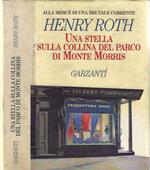 Una stella sulla collina del parco di Monte Morris