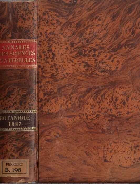 Annales des sciences naturelles botanique VII série tome V-VI 1887 - copertina
