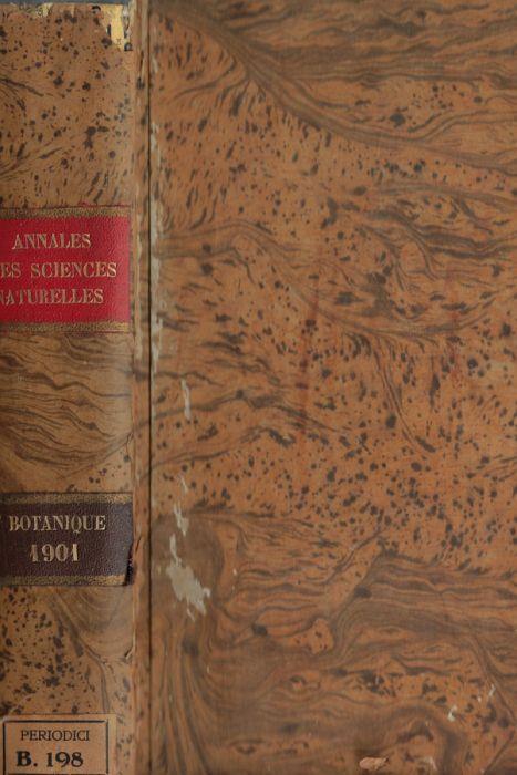 Biblioteca di Babele